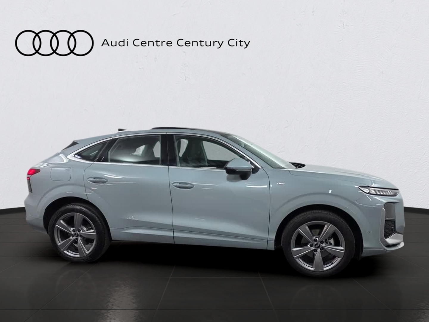 Gallery Thumb